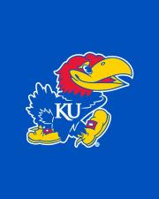 Placeholder picture of a Jayhawk